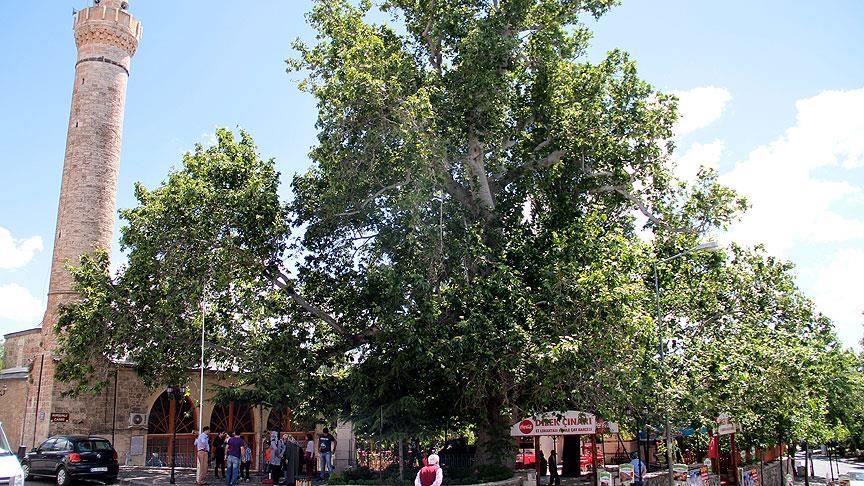 Kurşunlu Camii